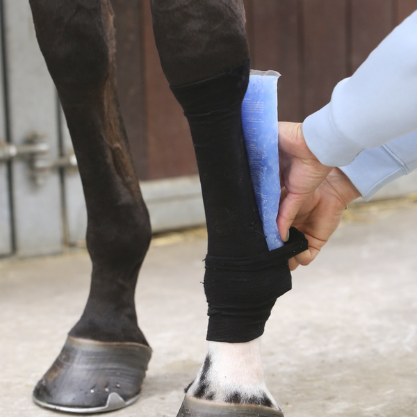 Kentucky Tendon Grip Socks Black