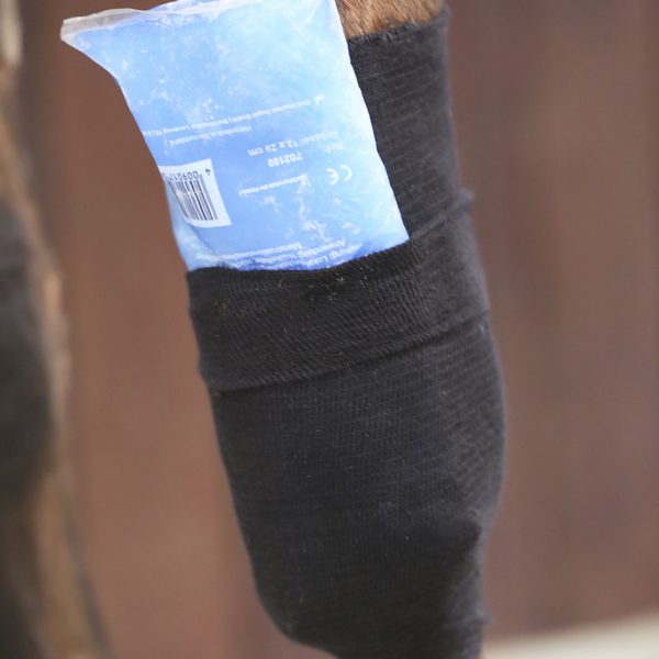 Kentucky Tendon Grip Kous Black