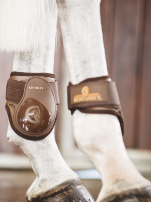 Fetlock Boot Young Horse Full