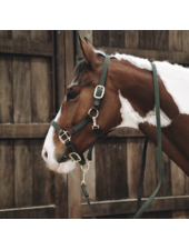 Kentucky Plaited Nylon Horse Lead Navy