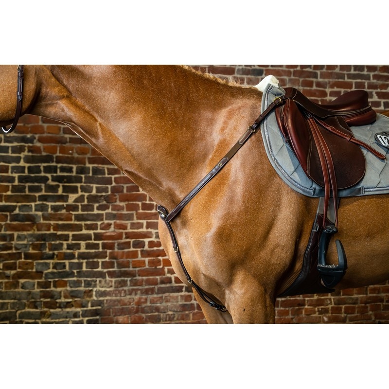 Dy'on DC Breastplate Brown House of Horses