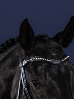 DR Half Swarovski V-Shaped Browband Black