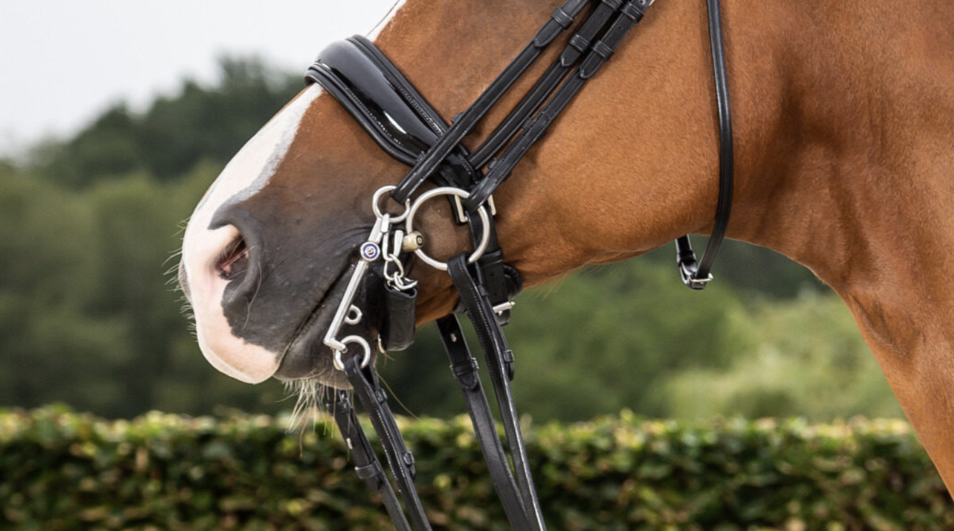 ADT Crank Noseband