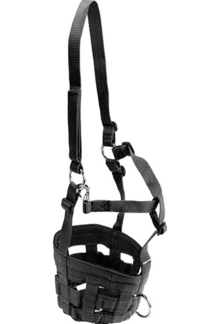 Ekkia Grazing Mask Nylon Black House of Horses