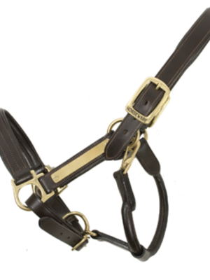 Amigo Padded Headcollar Leather Black