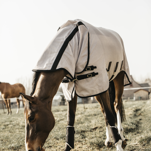 Kentucky Fly Rug Beige