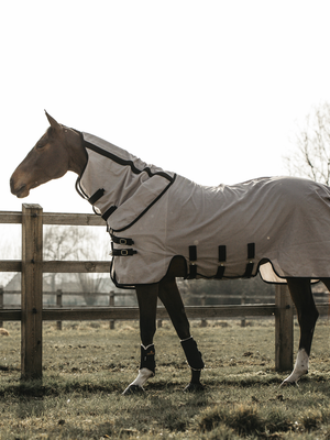 Fly rug Beige