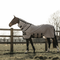 Kentucky Fly Rug Beige