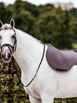 Saddle Pad Jumping Grey