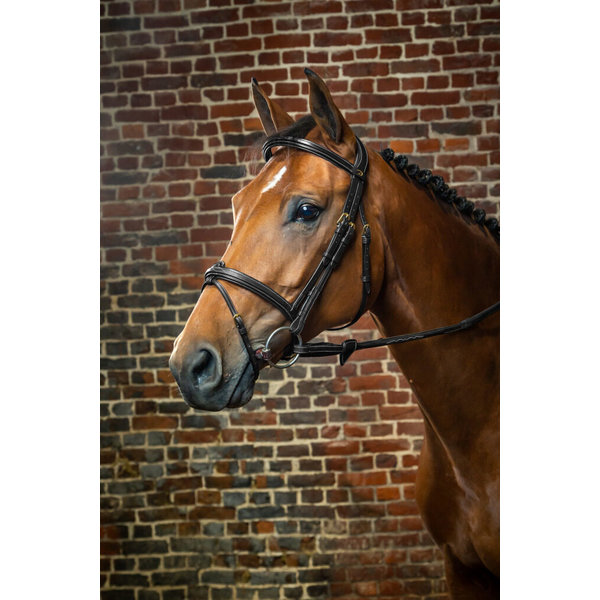 Dy'on DC Flash Noseband Bridle Black