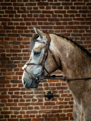 DC Figure 8 Noseband Bridle Brown