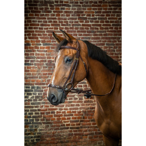 Dy'on DC Adjustable Drop Noseband Bridle Brown