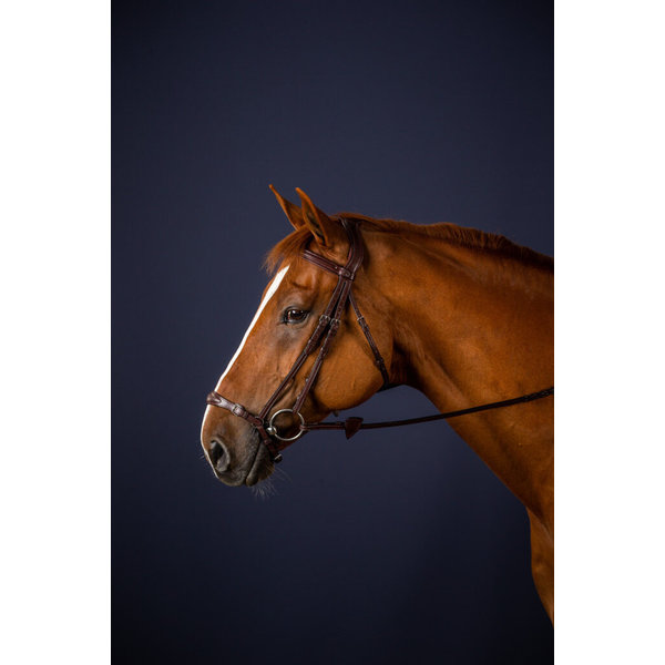 Dy'on NE Adjustable Drop Noseband Bridle Brown