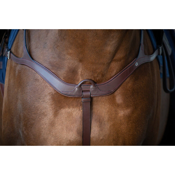 Dy'on NE Anatomical Breastplate Brown