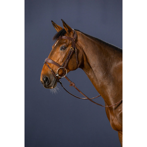 Dy'on DC Anatomic Flash Noseband Bridle Brown
