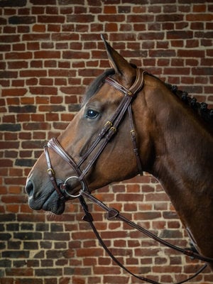 DC Anatomic Flash Noseband Bridle Brown