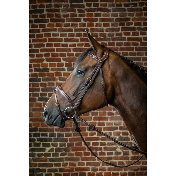 Dy'on DC Anatomic Flash Noseband Bridle Brown