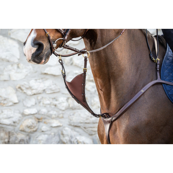 Dy'on DC Soft Bib Martingale Attachment Bruin