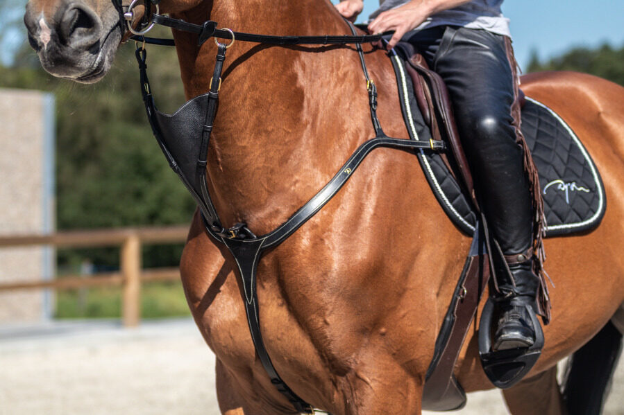 Dy'on DC Soft Bib Martingale Attachment Black House of Horses