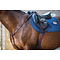 Dy'on NE Breastplate Brown