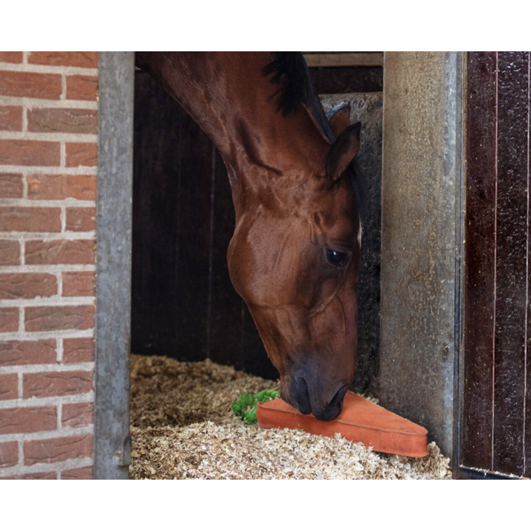 QHP Horse Toy XL Carrot