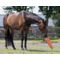 QHP Horse Toy XL Carrot