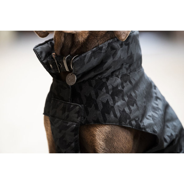 Eskadron Dog Coat Velvet Stamp Essence 22 Black