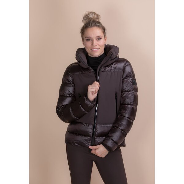 Pikeur Qulit Jacket Selection Licorice