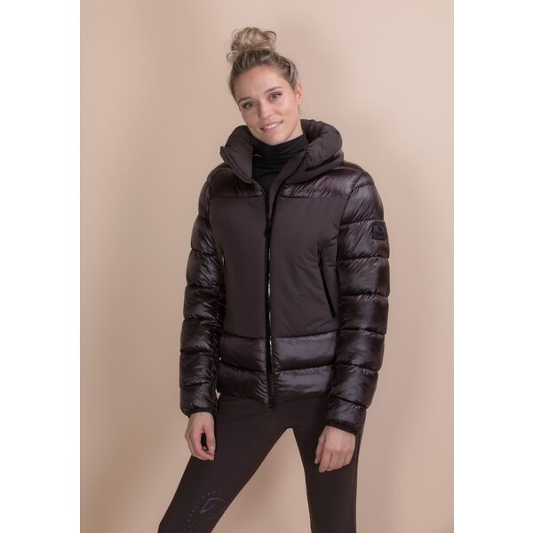 Pikeur Qulit Jacket Selection Licorice