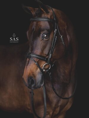 Grand Prix Bridle Black Silver