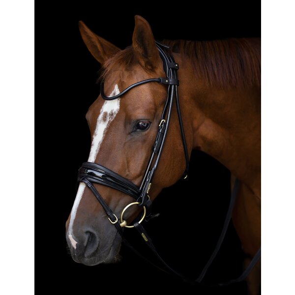 Utzon Edinburgh Bridle Lacquered Noseband Black Gold