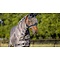 LeMieux Amour Shield Pro Fly Mask- Half Mask Navy/Grey