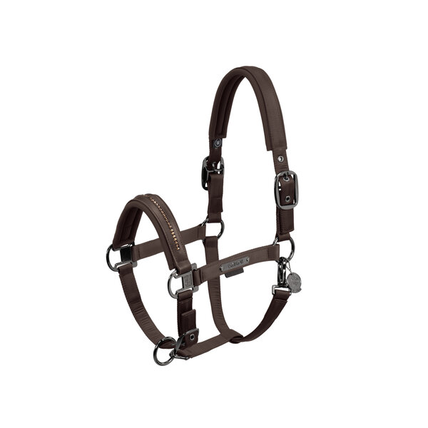 Eskadron Platinum'24 Halter Double Pin Glossy Crystal Dark Brown