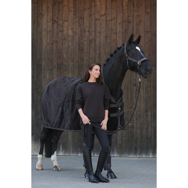 Eskadron Platinum'24 Halter Double Pin Glossy Crystal Dark Brown