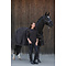 Eskadron Platinum'24 Halter Double Pin Glossy Crystal Dark Brown