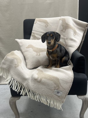 100% Wool Plaid Teckel Dot Sand/Coffee