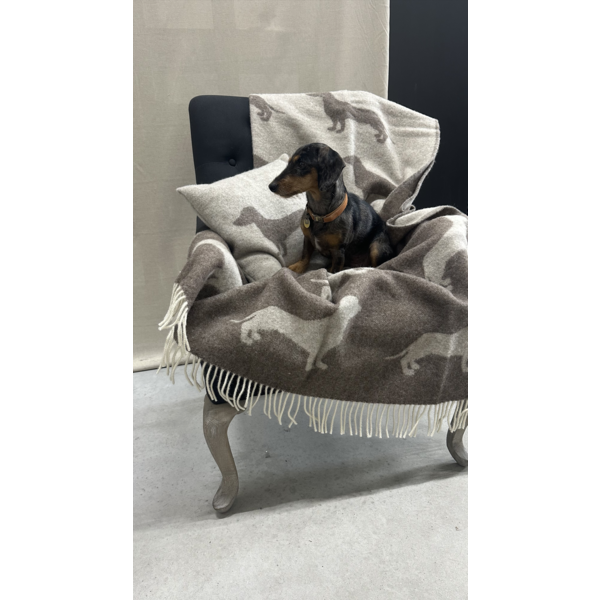 Belpo Textile 100% Wool Plaid Dachshund Dot Brown Mélange