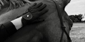 Equestrian Lifestyle