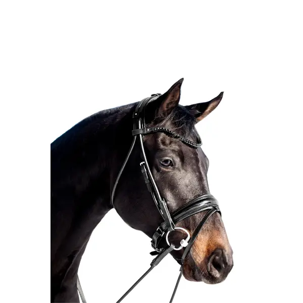 Utzon Miami Bridle Black Crystals