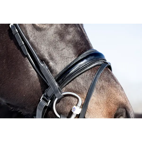 Utzon Miami Bridle Black Crystals