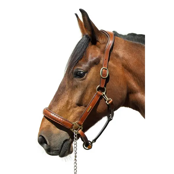 Utzon Olympic Halter Light Brown