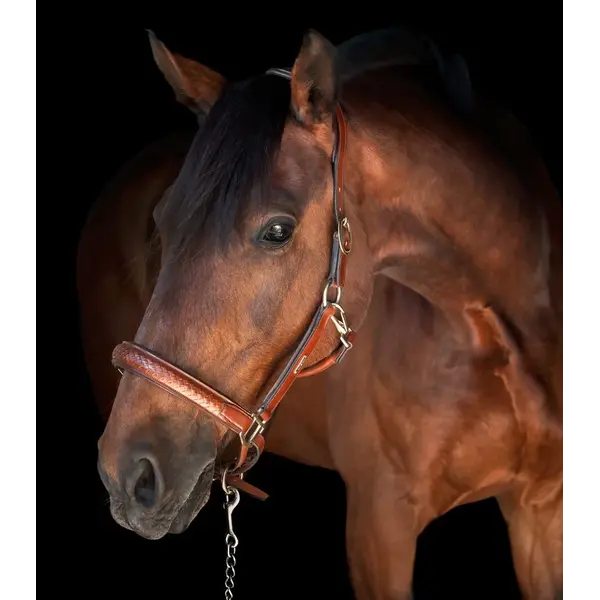 Utzon Utzon Olympic Halter Light Brown