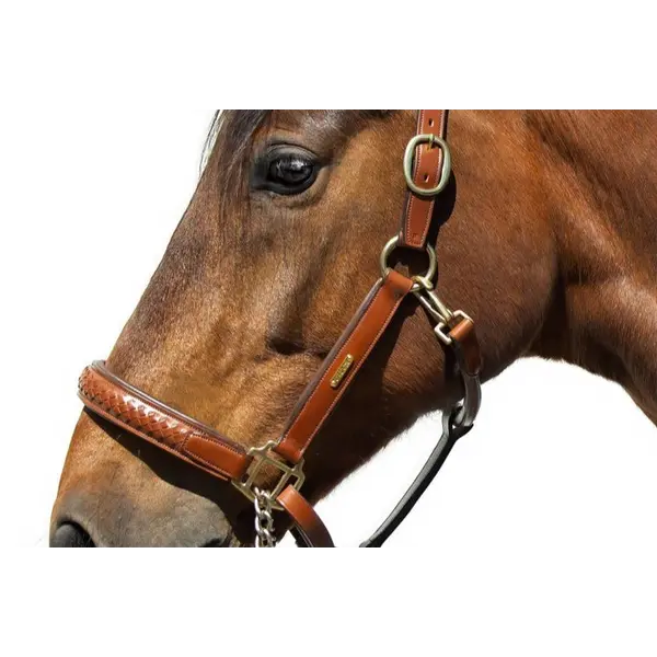 Utzon Olympic Halter Light Brown