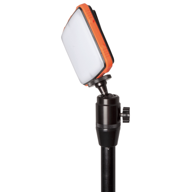 FOX Halo Photography Light | Nachtlamp
