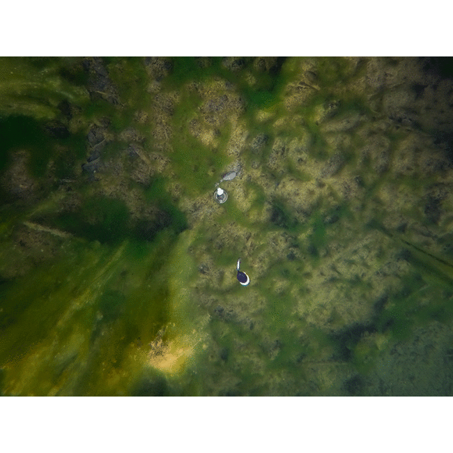 FOX Edges Zig Float Kit (Compleet)