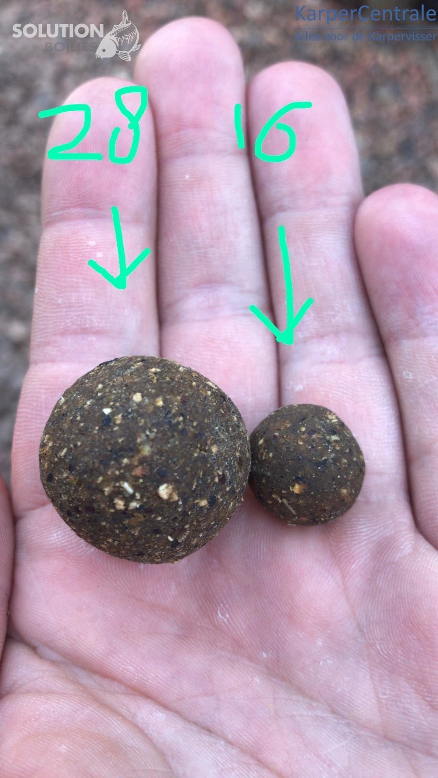 De twee succes boilies van deze trip (28mm & 20mm Bitter Sweet Haze)