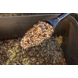 FOX Distance Baiting Spoon | Voerschep FOX Distance Baiting Spoon | Voerschep