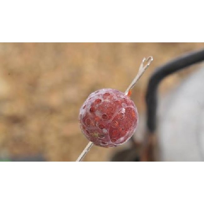 Korda Korda Superwrap (krimpkous)