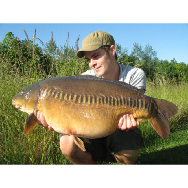 Korda IQ2 / IQ Extra Soft (20meter)