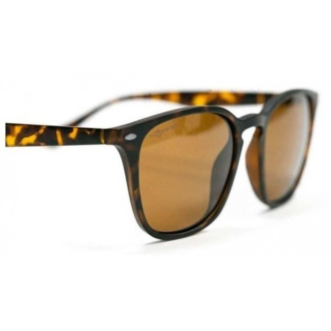 Korda Shoreditch - Matt Tortoise Shell/ Brown Lens
